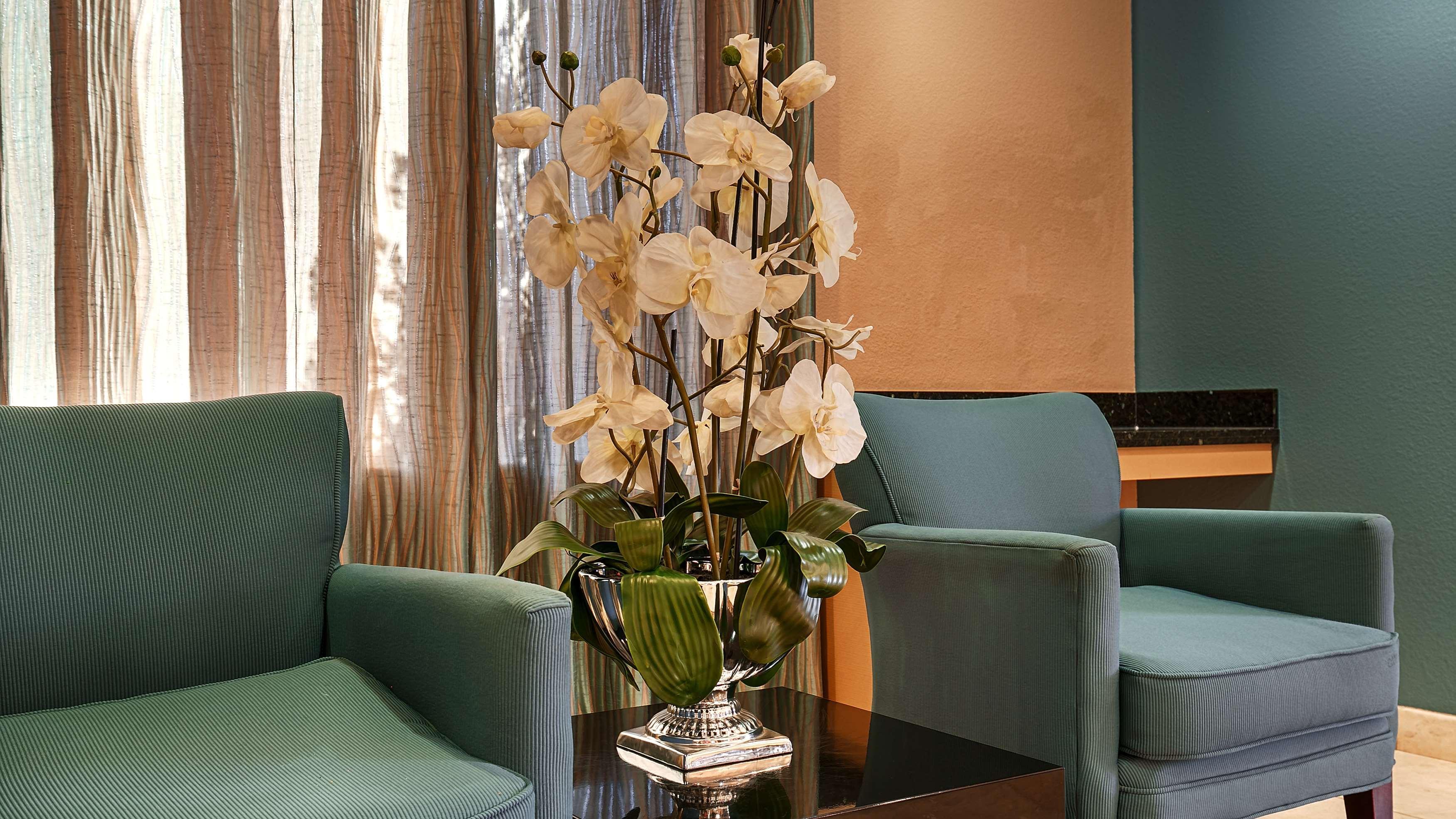 Best Western Sonora Inn & Suites Nogales Zewnętrze zdjęcie